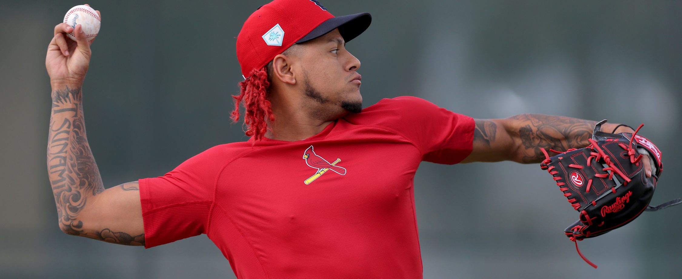 Cardinals spring training